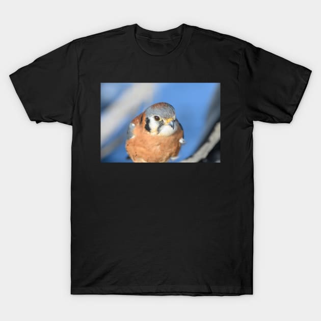 Small and Fast T-Shirt by gdb2